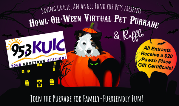 Saving Gracie was on KUIC announcing the Howl-Oh-Ween Virtual Pet Purrade & Raffle