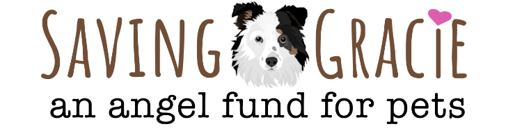 Saving-Gracie-Logo-Banner