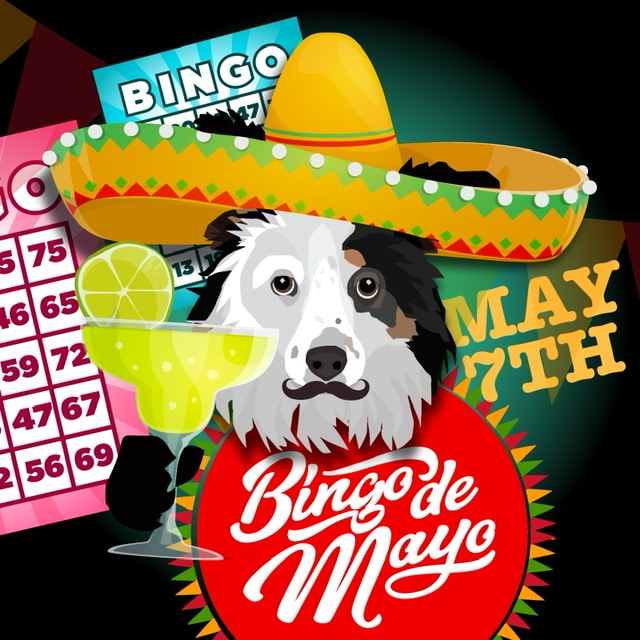 Lisa Hilas from Saving Gracie was on KUIC announcing Bingo De Mayo